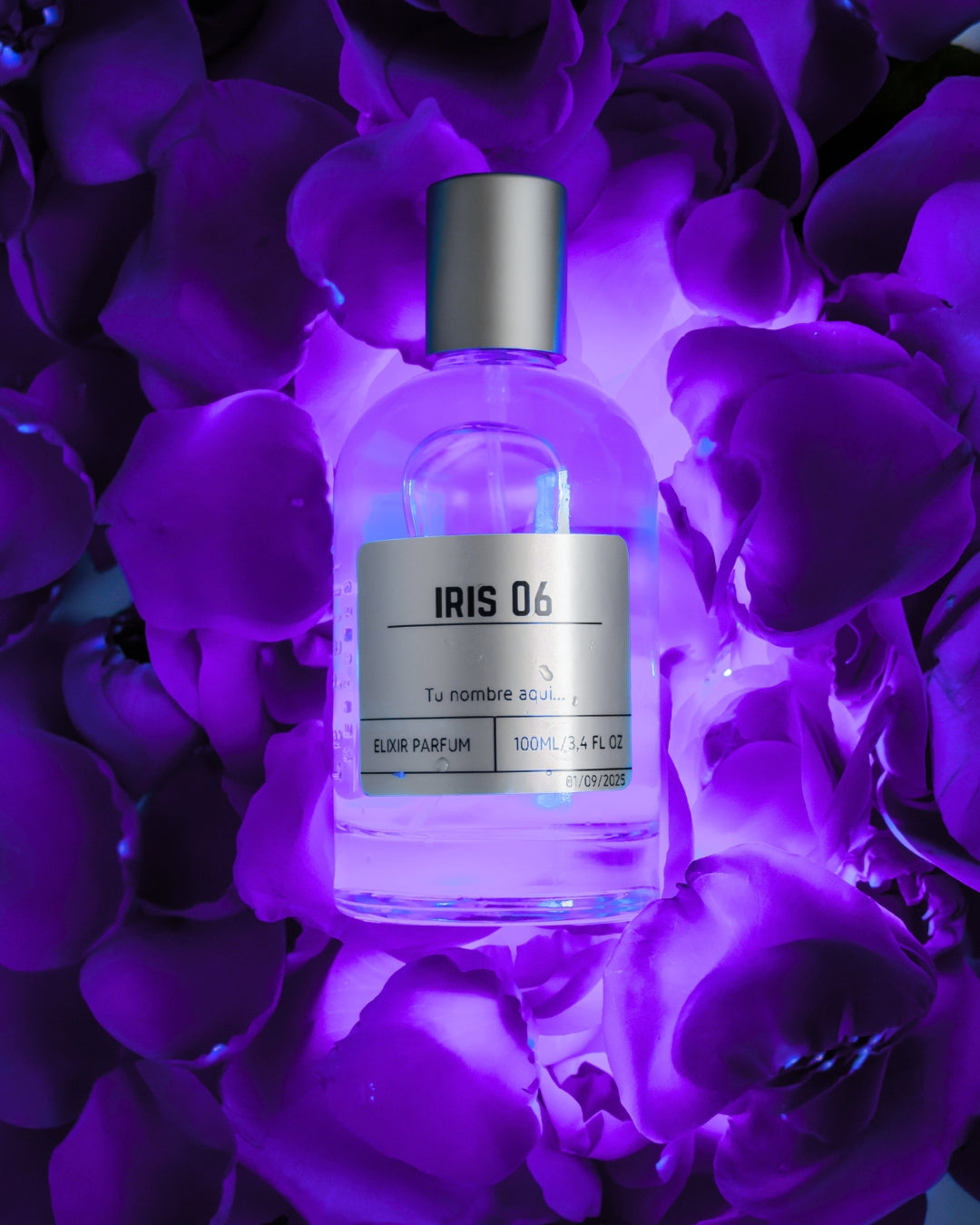 IRIS 06