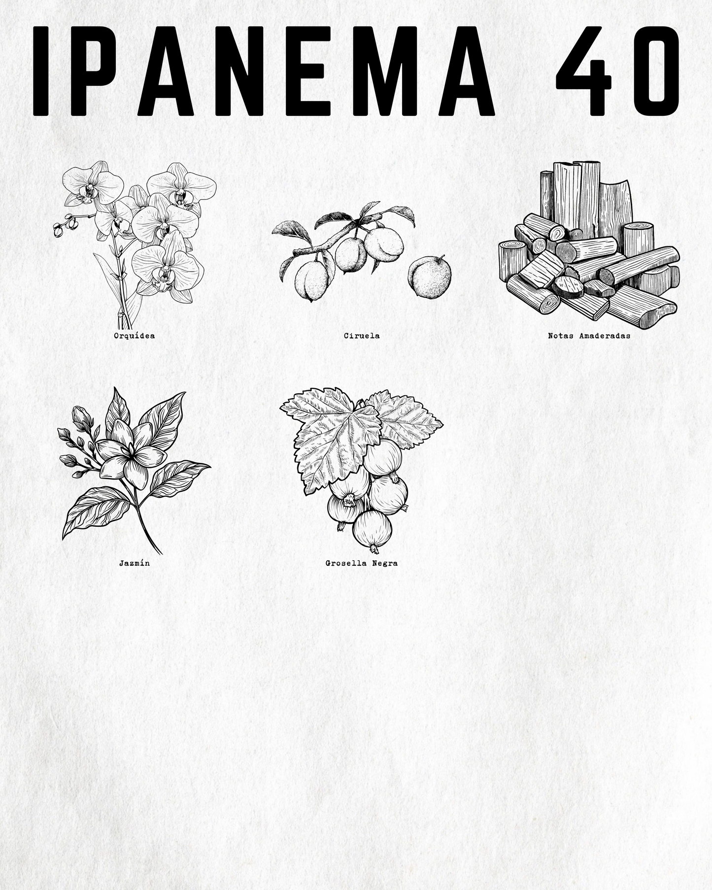 IPANEMA 40