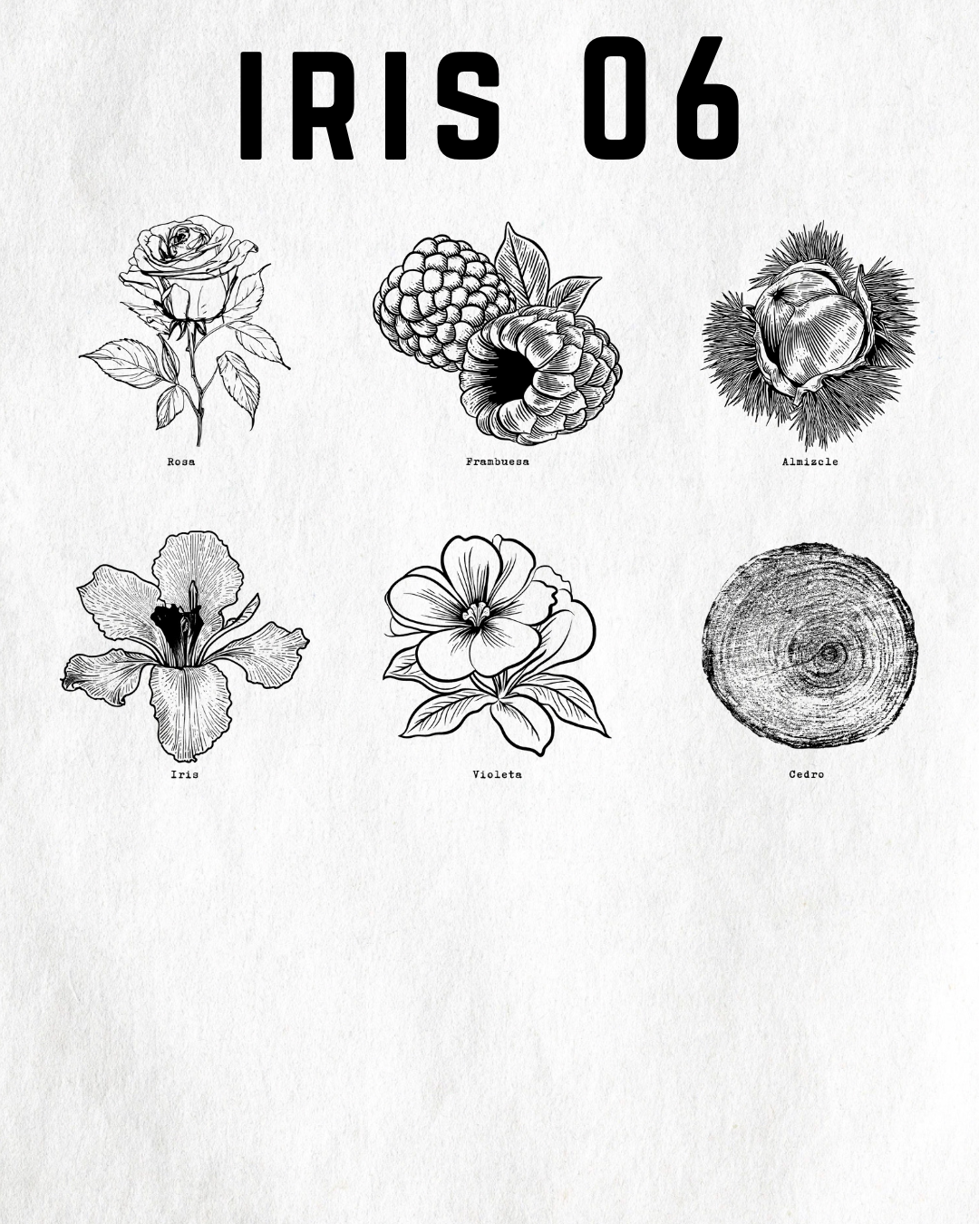 IRIS 06