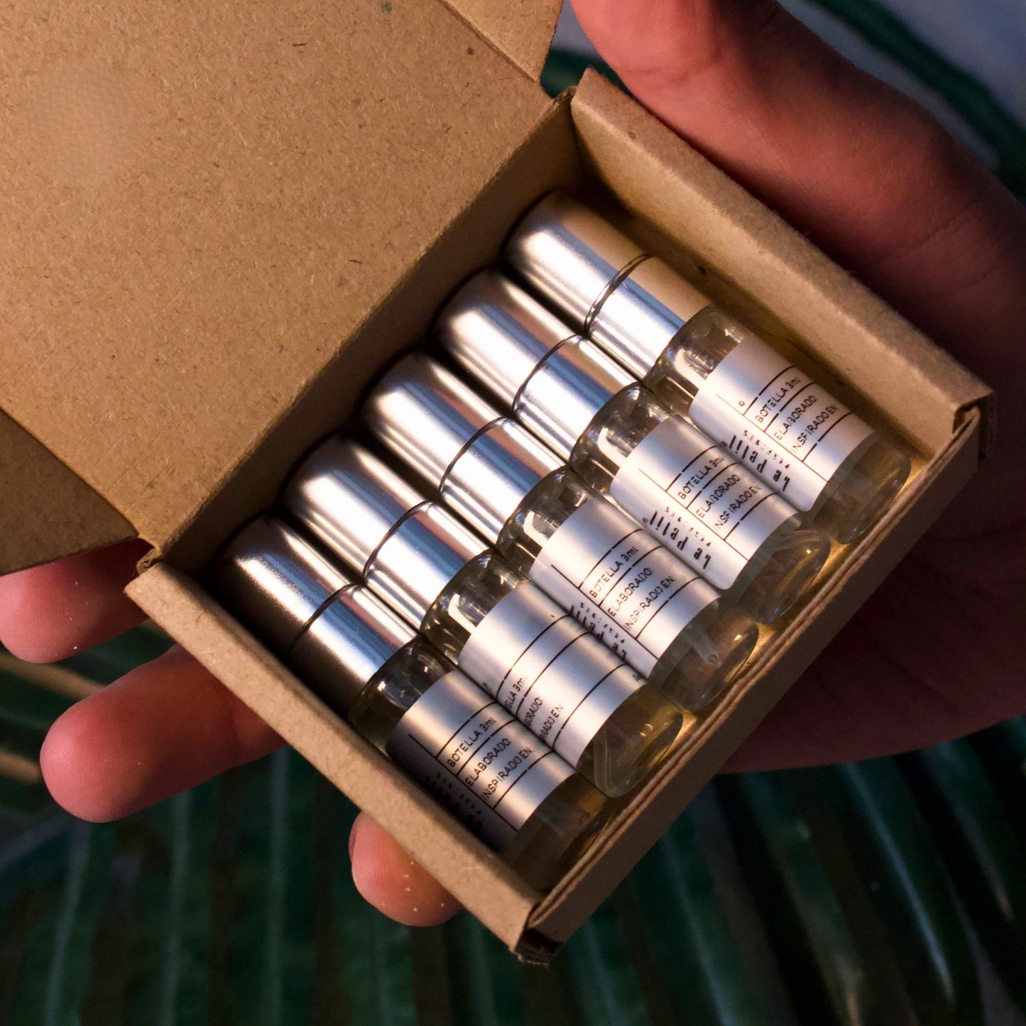 DISCOVERY SET | EDICION IV 2025