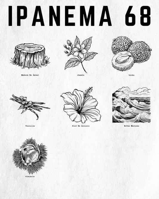 IPANEMA 68